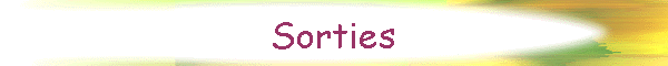 Sorties